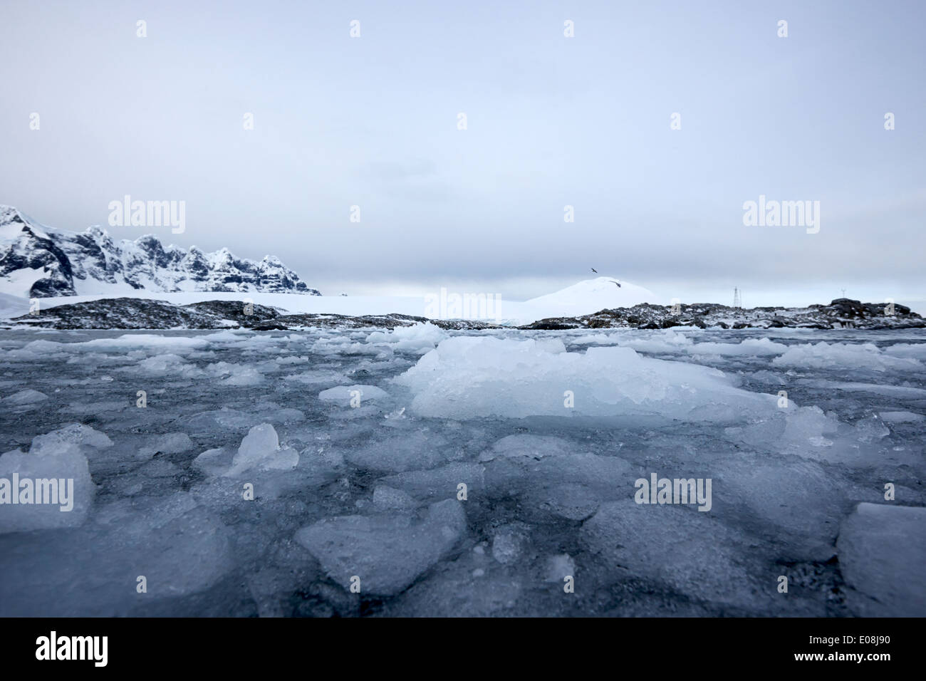 Insolente mare la formazione di ghiaccio chiusura invernale a Port Lockroy Antartide Foto Stock