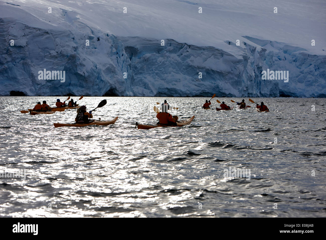 Gruppo di sea kayakers in Port Lockroy antartide Foto Stock
