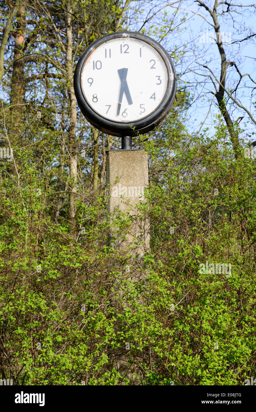 Mostra orologio 5:30 in piedi nel verde fogliame. Foto Stock