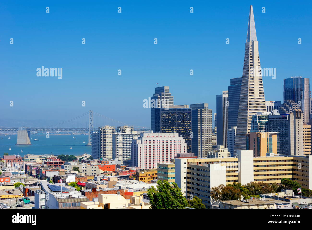 Il centro cittadino e TransAmerica Building, San Francisco, California, Stati Uniti d'America, America del Nord Foto Stock
