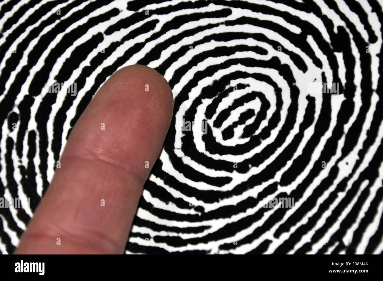Illustrazione - un dito indice è tenuto davanti a un'impronta digitale in Germania, 05 gennaio 2013. Fotoarchiv für Zeitgeschichte - SENZA FILI Foto Stock