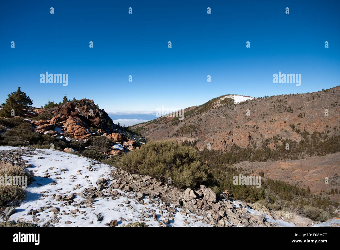 Parque Nacional del Teide, Teneriffa, Spanien - Parque Nacional del Teide Spagna, Tenerife Foto Stock