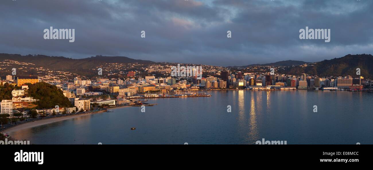 Panorama di Wellington City e per il porto, la mattina presto, Wellington, Isola del nord, Nuova Zelanda, Pacific Foto Stock