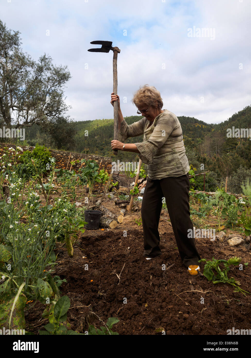 Agricoltore Che Utilizza Una Zappa in Giardino Fotografia Stock - Immagine  di alimento, coltivatore: 231737380