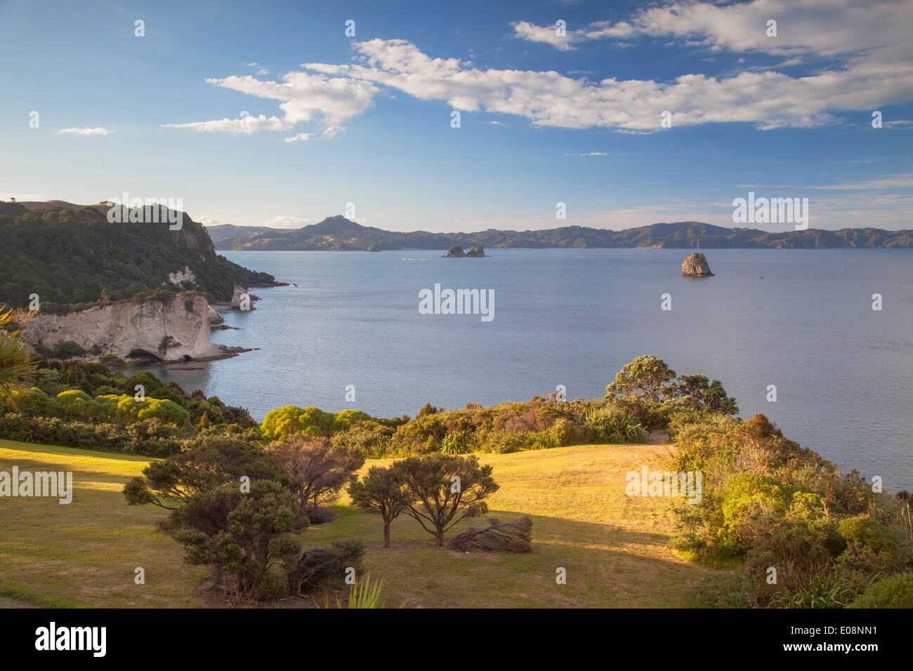 Vista del Cove della cattedrale riserva marina (Te Whanganui-A-Hei), Penisola di Coromandel, Waikato, Isola del nord, Nuova Zelanda, Pacific Foto Stock