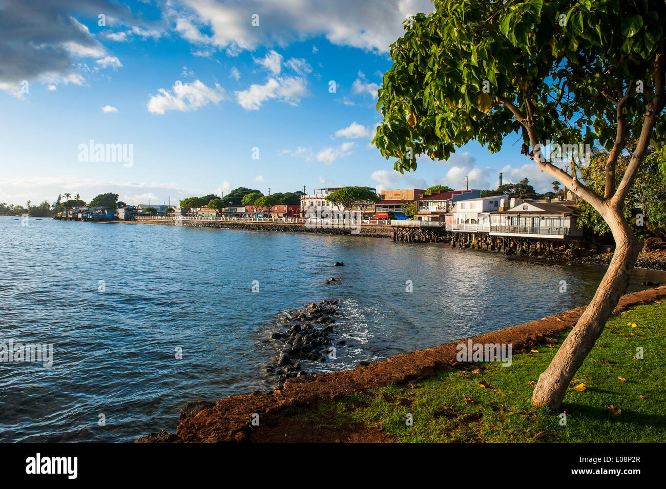 La cittadina di Lahaina, Maui, Hawaii, Stati Uniti d'America, il Pacifico Foto Stock