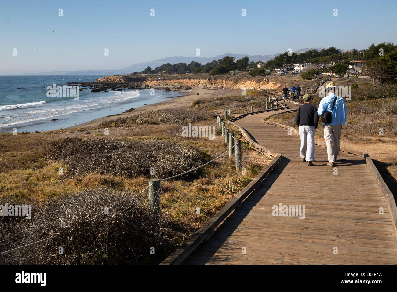La pietra di luna Beach Park, Cambria, San Luis Obispo County, California, Stati Uniti d'America, America del Nord Foto Stock