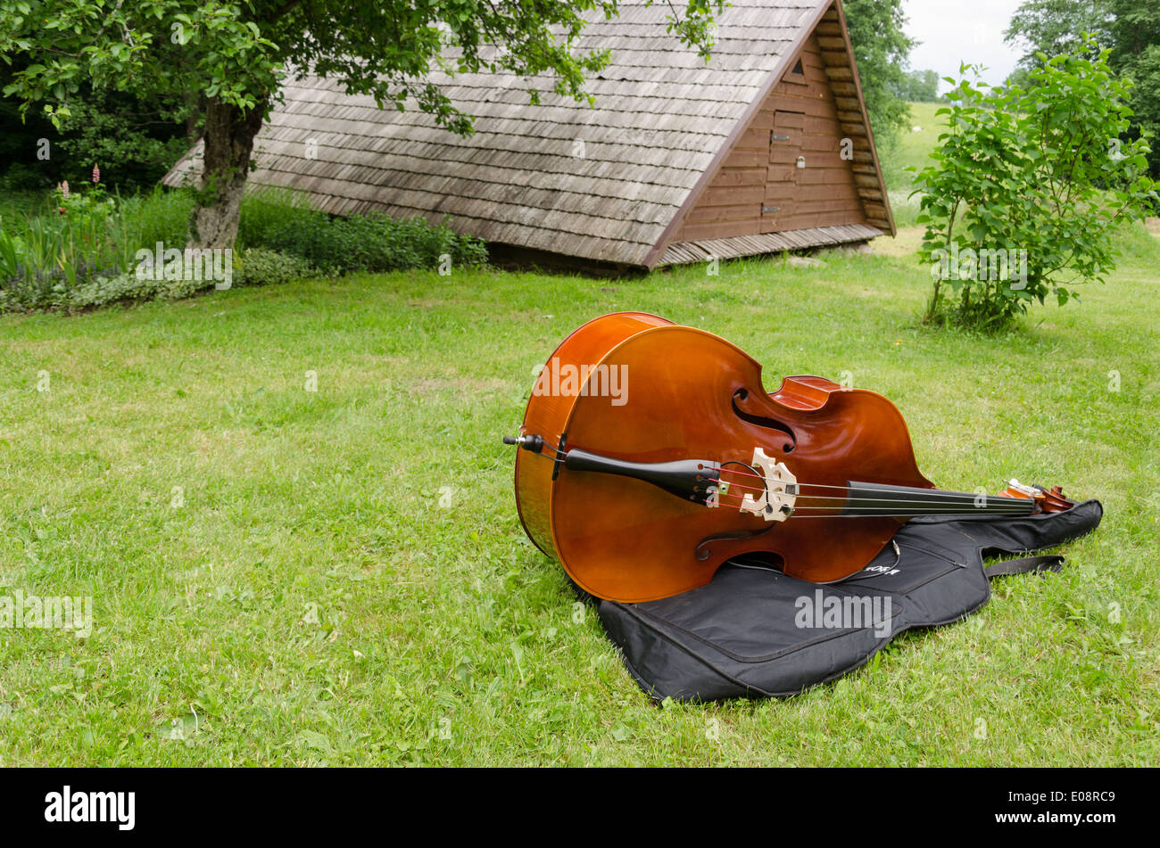 Contrabbasso, contrabbasso strumento musicale su borgo estivo erba Foto Stock