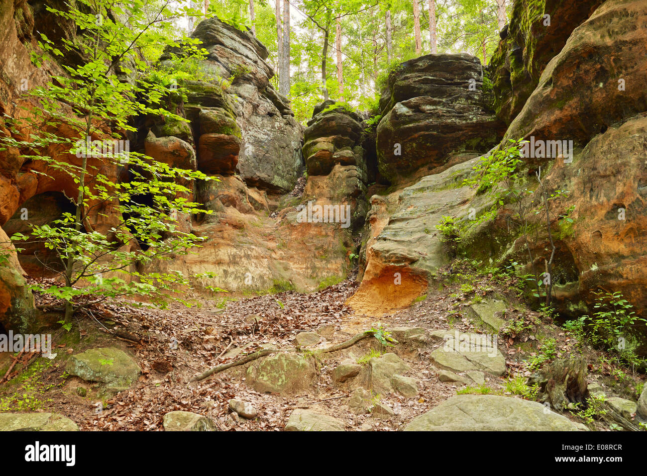 Vecchio alterò le rocce dello sfondo. L'inferno rocce vicino Nieklan, Polonia. Incredibili caratteristiche geologiche di riserva. Foto Stock