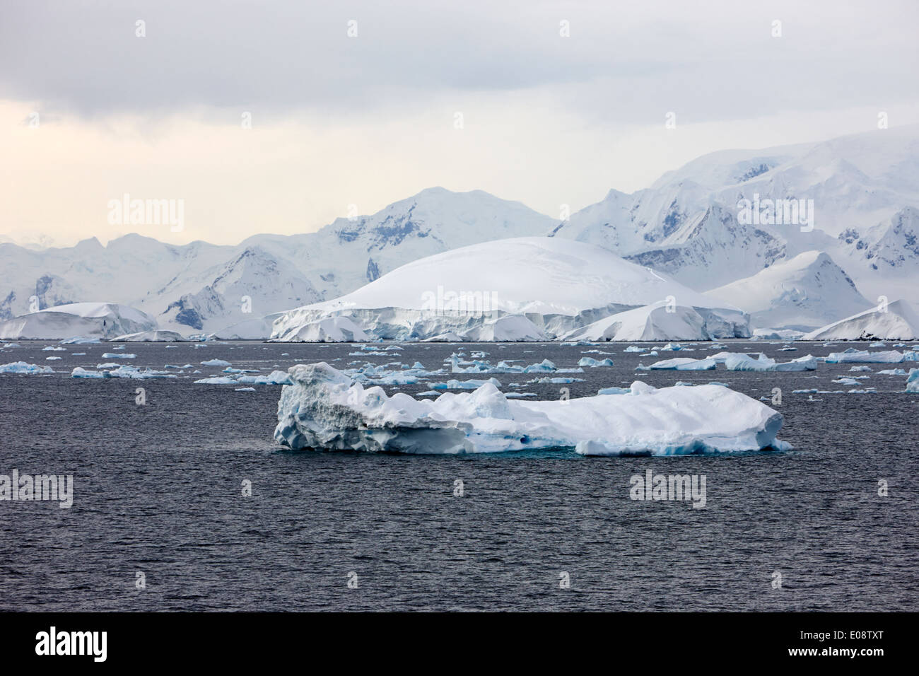 Iceberg e snow dome formazione sul litorale vicino a cape renard avvicinando il canale di Lemaire Antartide Foto Stock