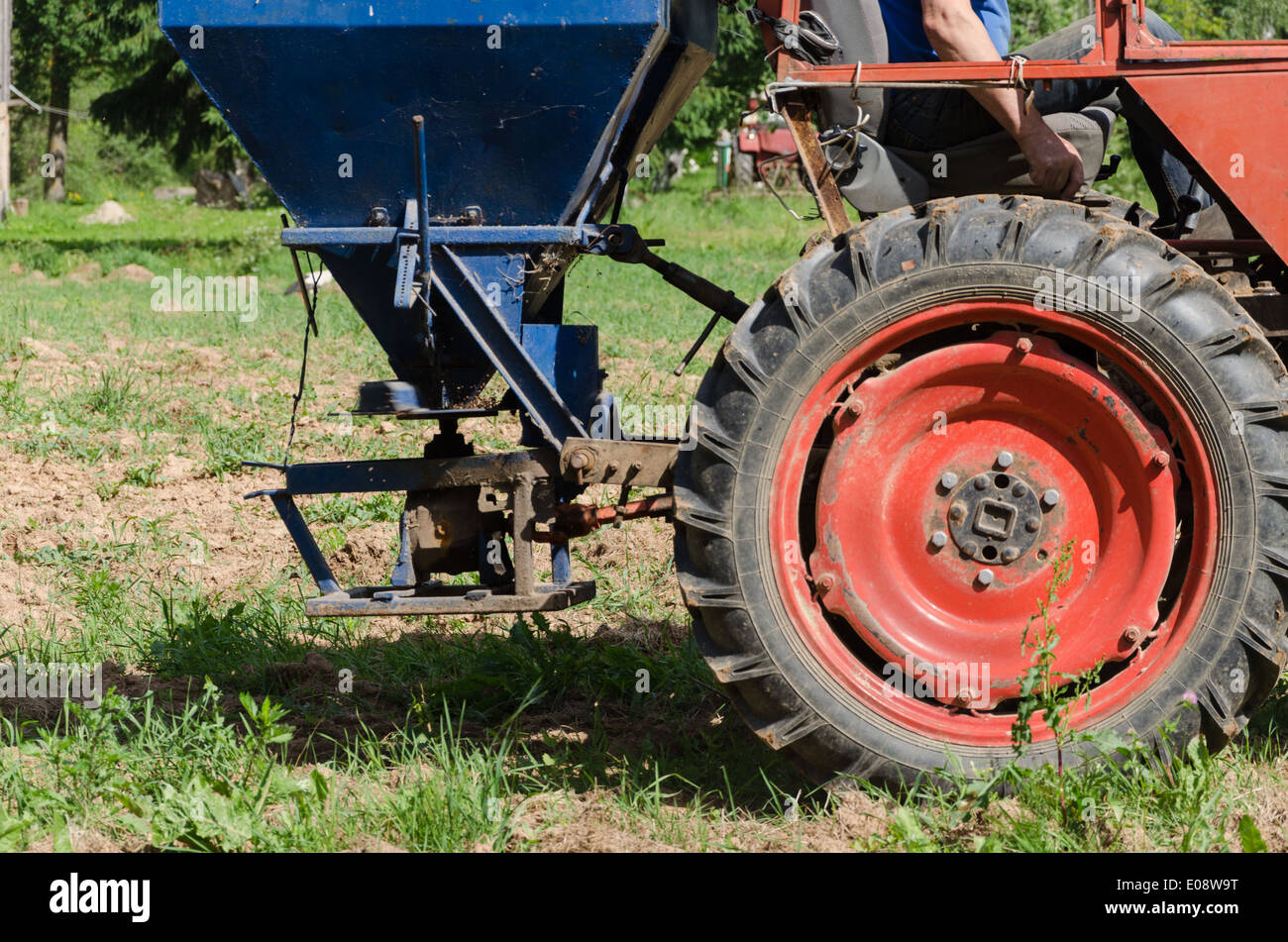 Seguire retrò le ruote del trattore e le attrezzature della seminatrice per seminare i semi di grano saraceno in campo agricolo. Foto Stock