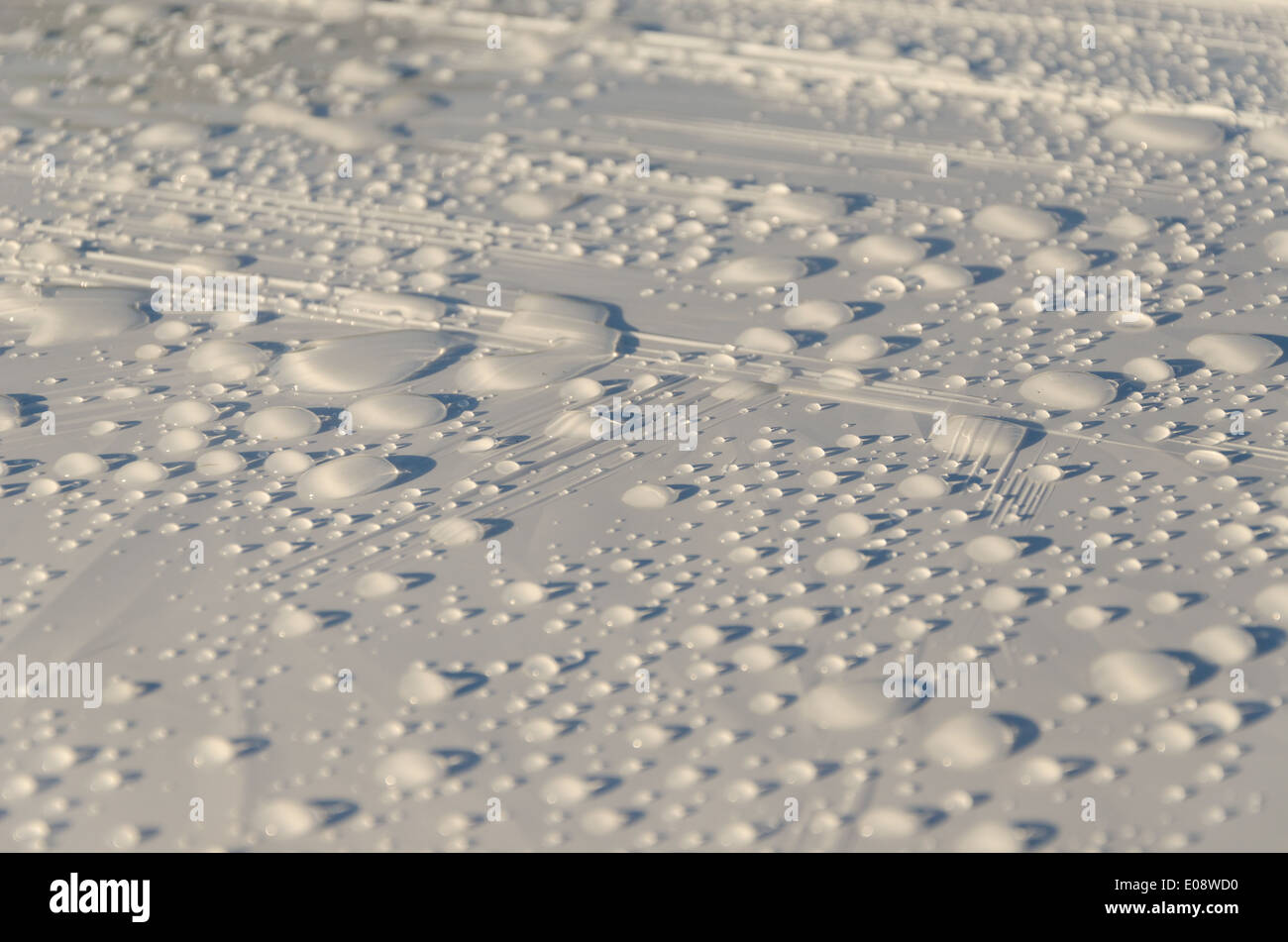 Pioggia di gocce di acqua glisten bianco sulla superficie di materiale di sfondo. Foto Stock