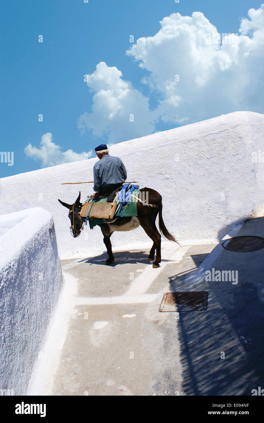 Asino su scale di Santorini, tradizionale Greco vita Foto Stock