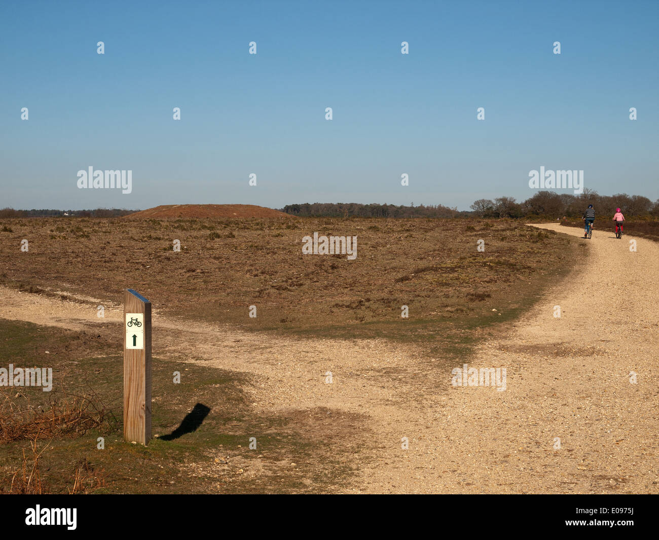Ashley a piedi New Forest National Park Hampshire Inghilterra UK usata come una gamma di bombardamenti durante la Seconda Guerra Mondiale Foto Stock