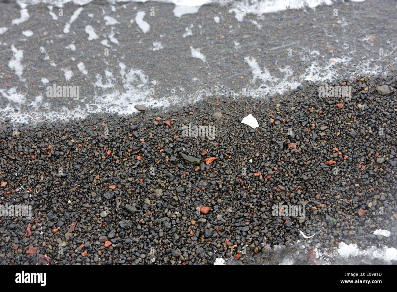 La caduta della neve sulla sabbia nera vulcanica e roccia nella caldera whalers bay isola Deception Antartide Foto Stock
