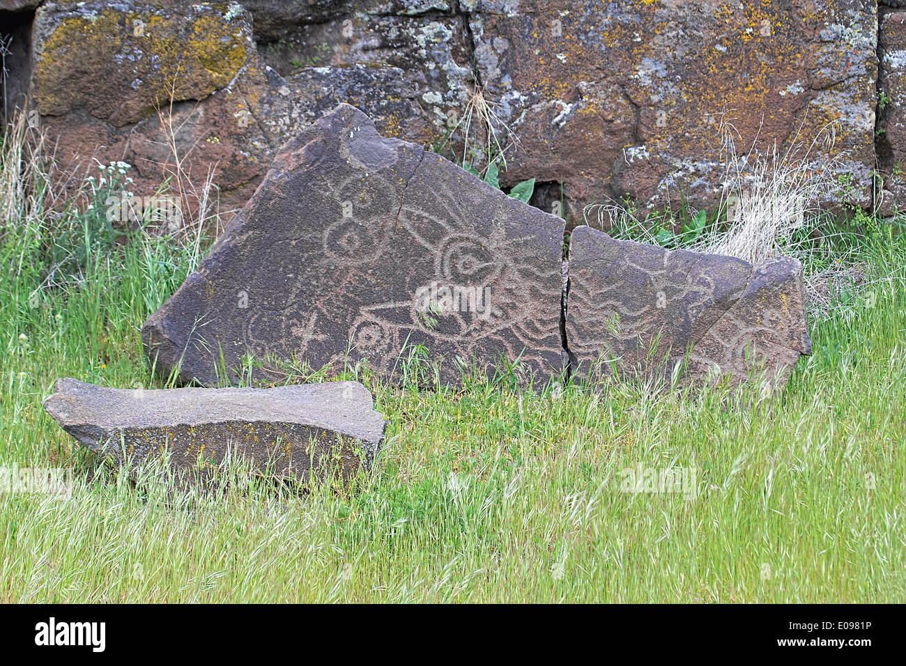 Anerican nativi indiani animali mitici Petrogylph su roccia Artwork a Horsethief Lago Washington Foto Stock