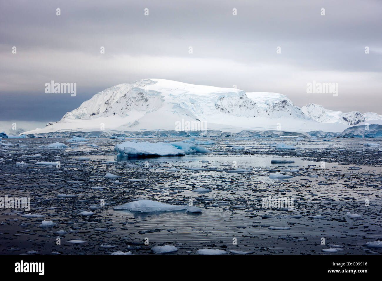 Insolente ghiaccio e mare di ghiaccio pack wilhelmina bay Antartide Foto Stock