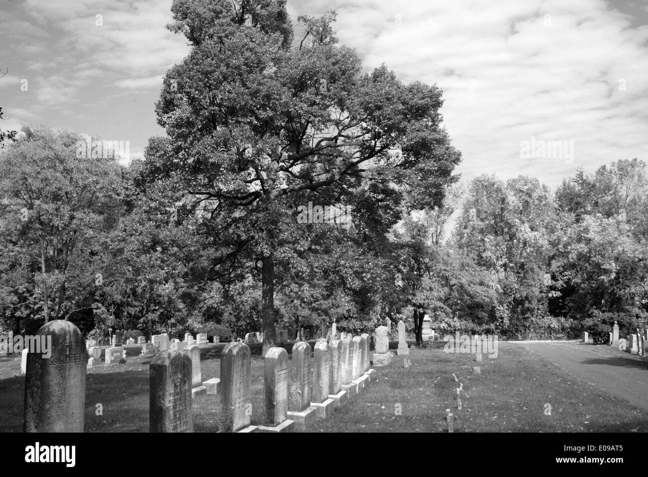 Un bianco e nero di un cimitero con alberi di alto fusto e il muschio sulle pietre di testa Foto Stock