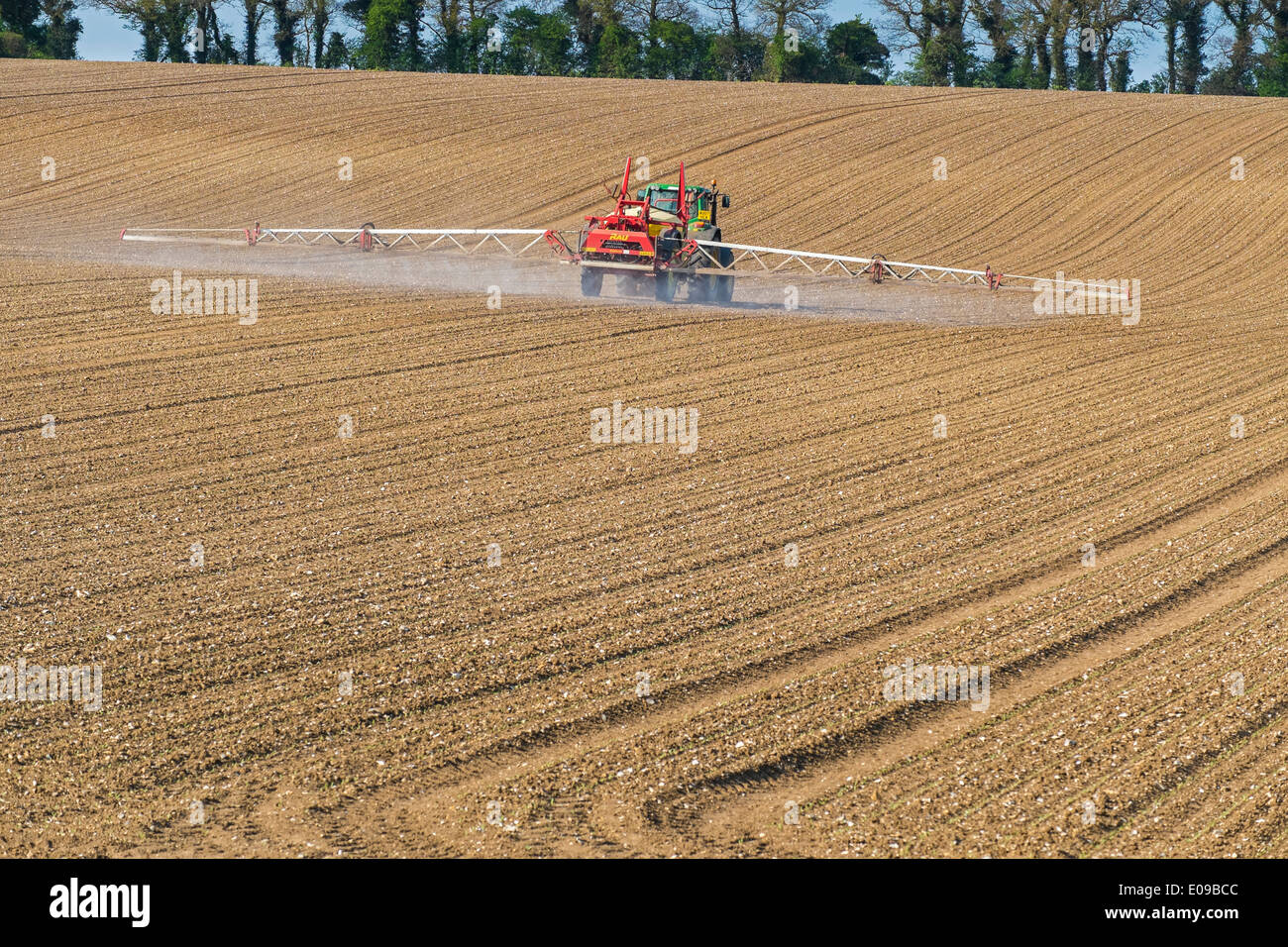 Weed pre emergere della spruzzatura di barbabietole da zucchero. Foto Stock