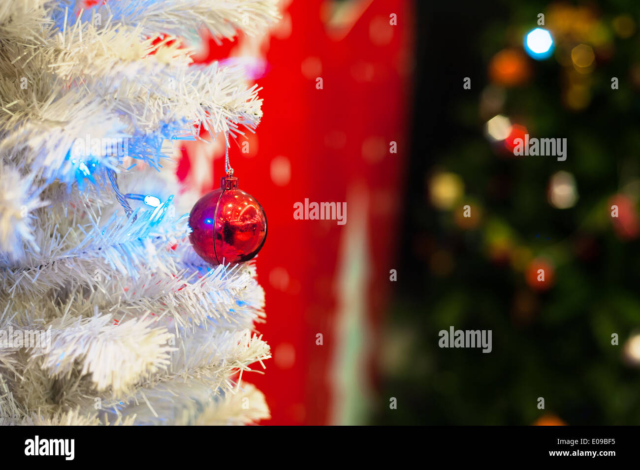 Albero di natale nel luogo felice . Foto Stock