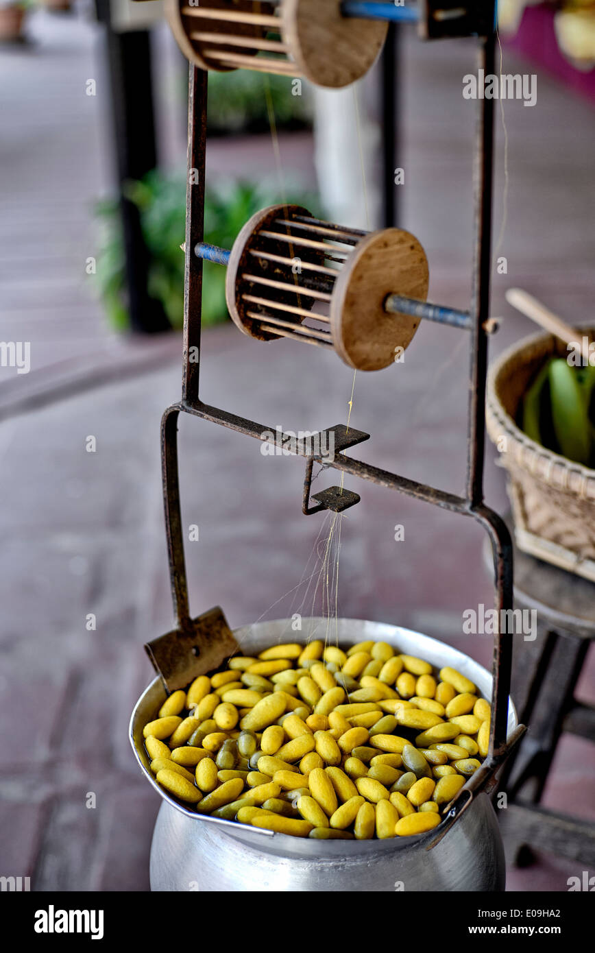 Bombyx Mori. Produzione di Silkworm. Bozzoli di seta in una pentola bollente utilizzata per estrarre il filo di seta per la successiva tessitura. Thailandia S. E. AS Foto Stock