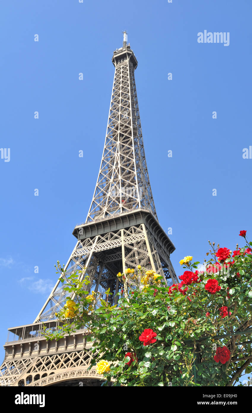 Rosso e rosa gialla ai piedi dell'Eiffel tutto sul cielo blu Foto Stock