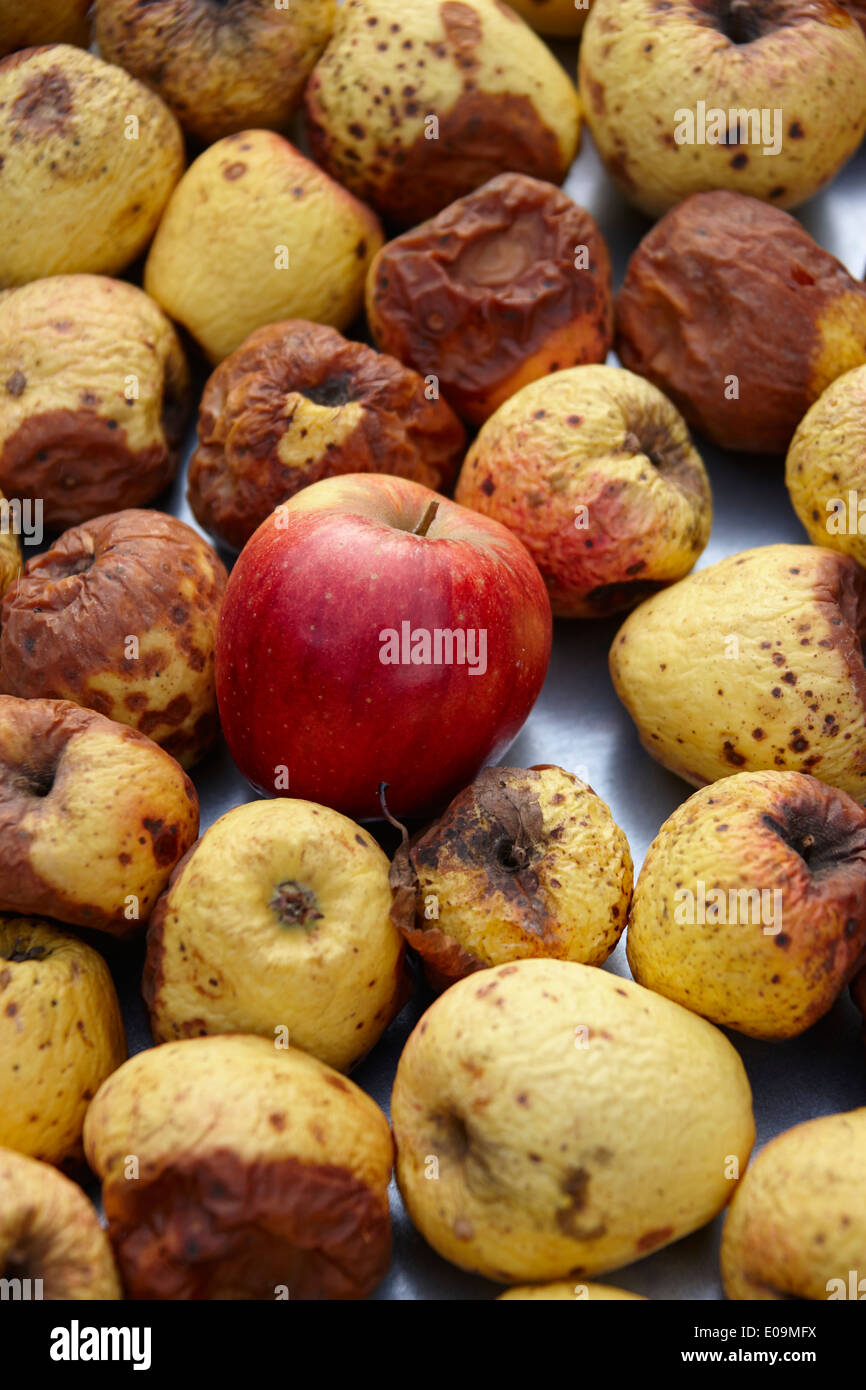 Mele marce Foto Stock