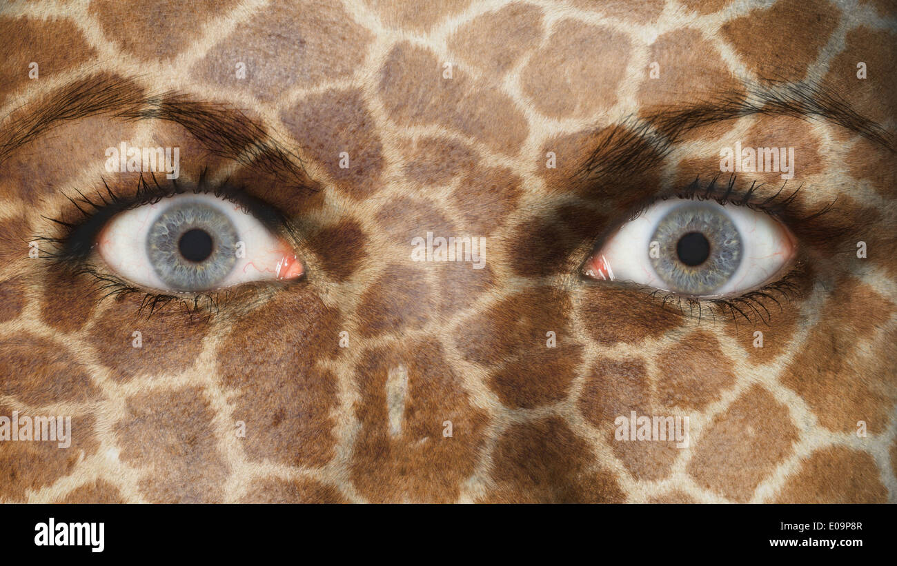 Donne occhio close-up occhi spalancati modello giraffa Foto Stock