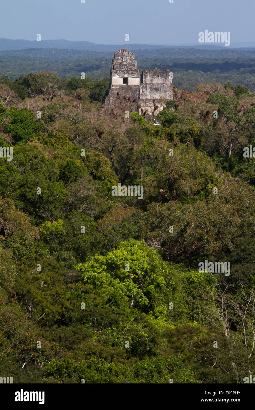 Templi I & II che si eleva al di sopra del tettuccio nella giungla, Tikal, Guatemala Foto Stock