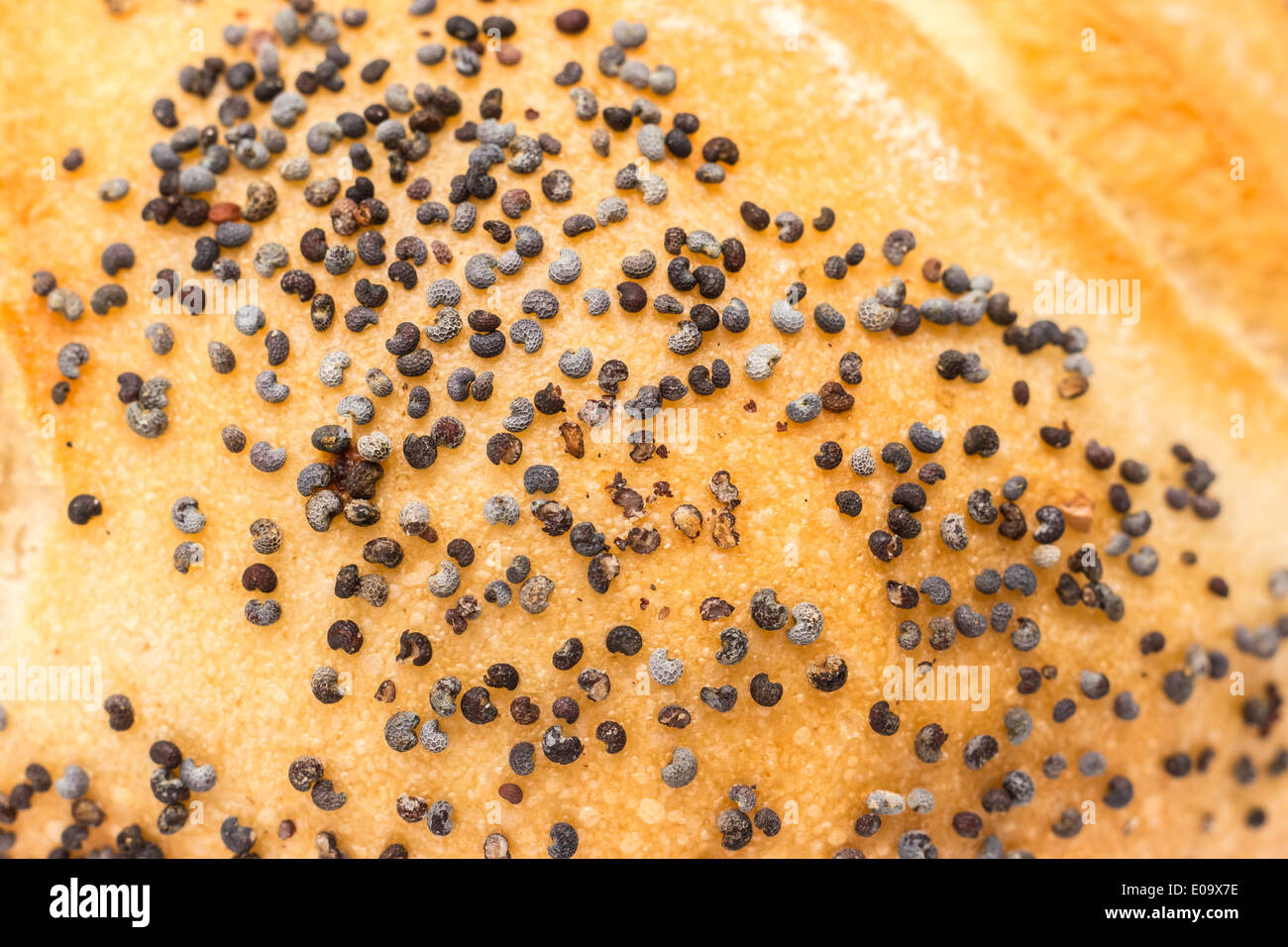 Pane bianco con semi di papavero Closeup Foto Stock