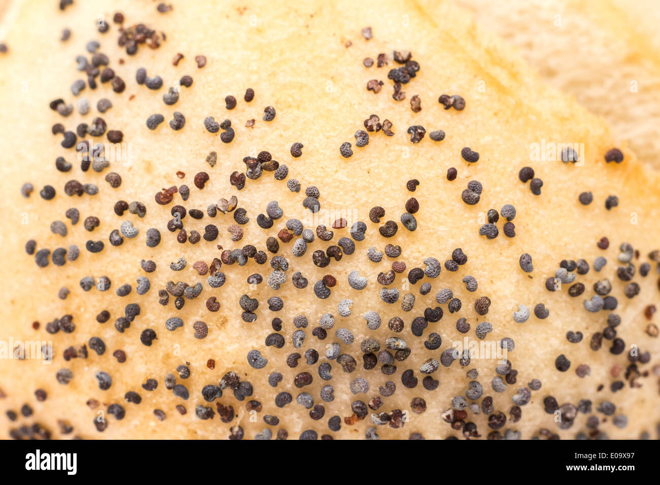 Pane bianco con semi di papavero Closeup Foto Stock