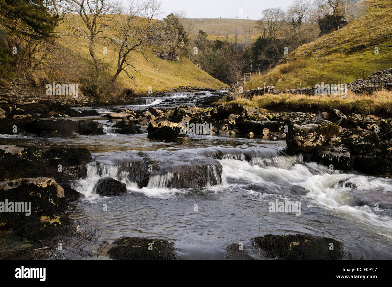 Raven Ray sul fiume Twiss. Ingleton Waterfalls Trail, Ingleton, Yorkshire Dales National Park, North Yorkshire. Febbraio. Foto Stock