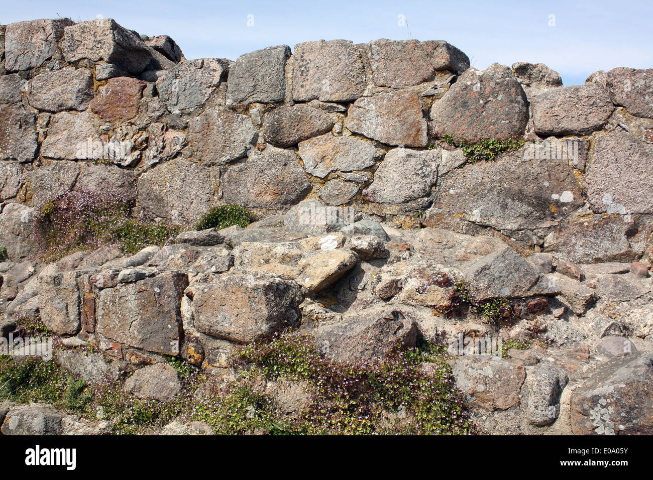 Muro di pietra dalle rovine Hammershus sull'isola di Bornholm Foto Stock