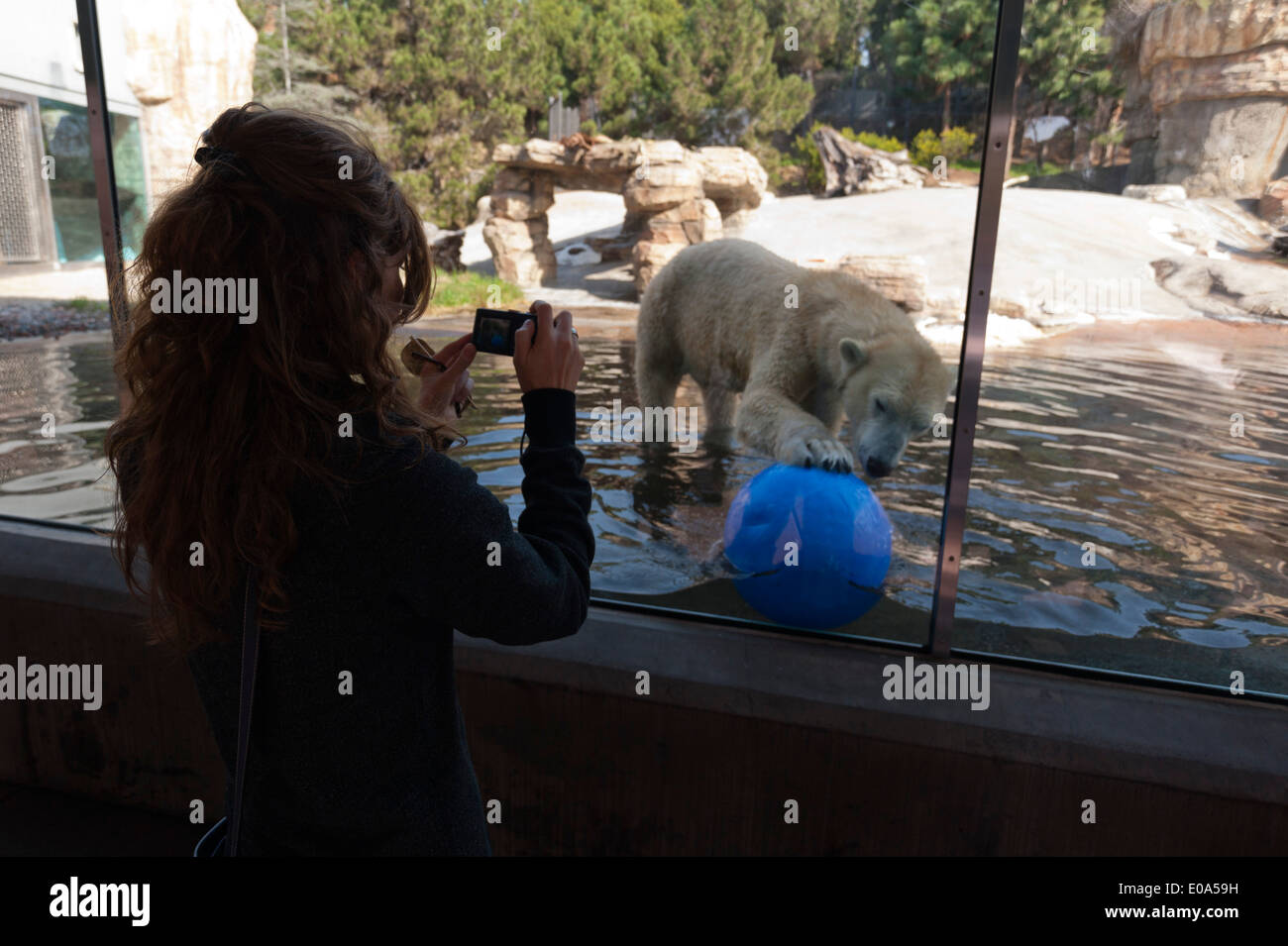 Lo Zoo di San Diego, il Balboa Park, San Diego, California, USA. Foto Stock