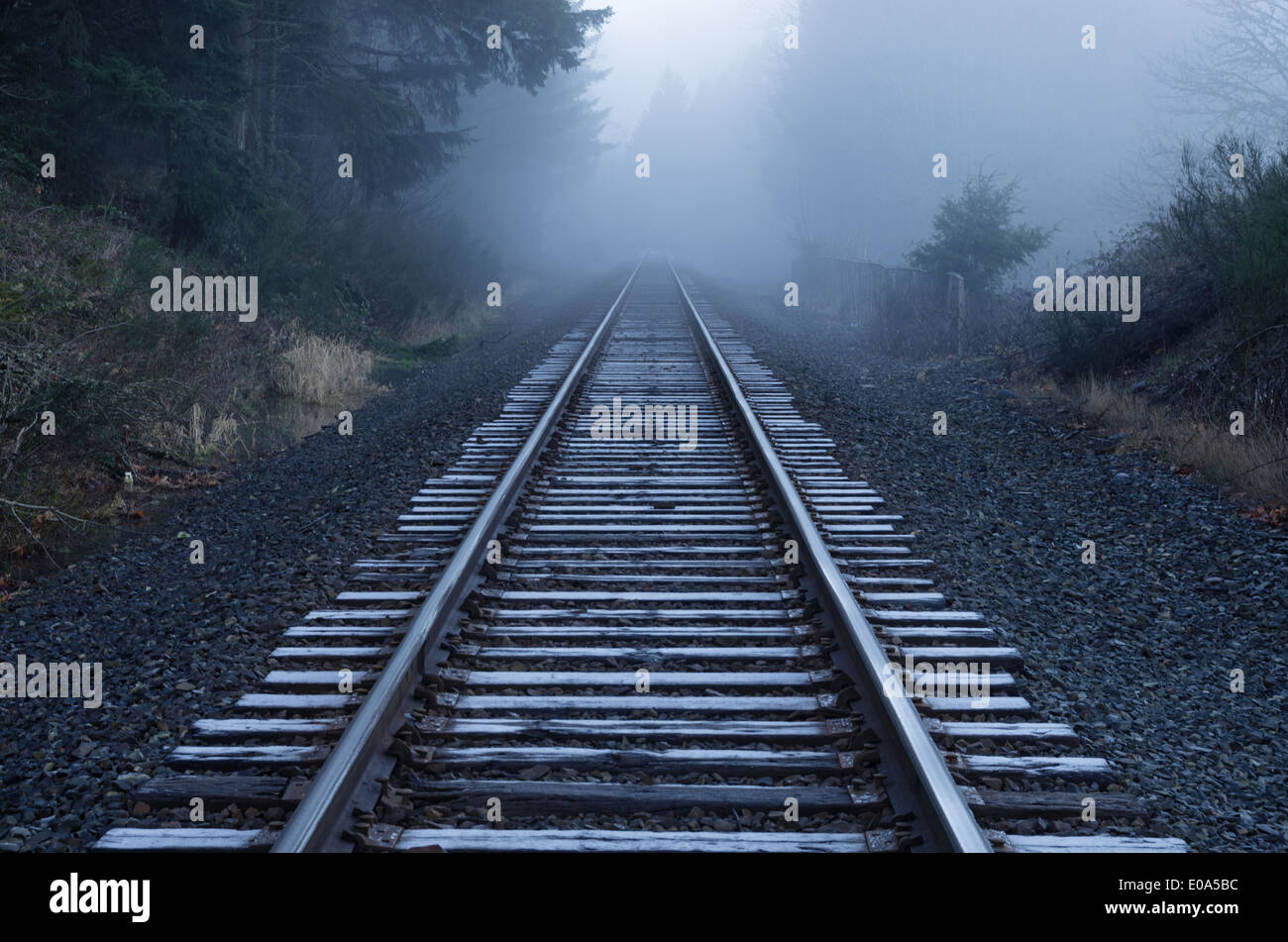I binari della ferrovia fade nella nebbia su un gelido Oregon mattina Foto Stock