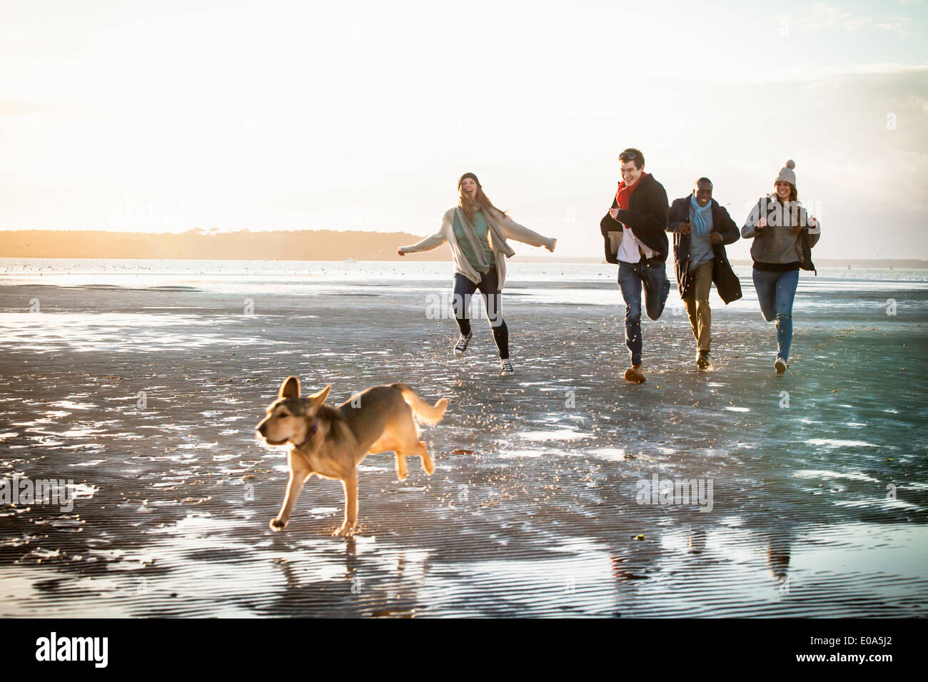 Amici adulti racing con cane sulla spiaggia Foto Stock