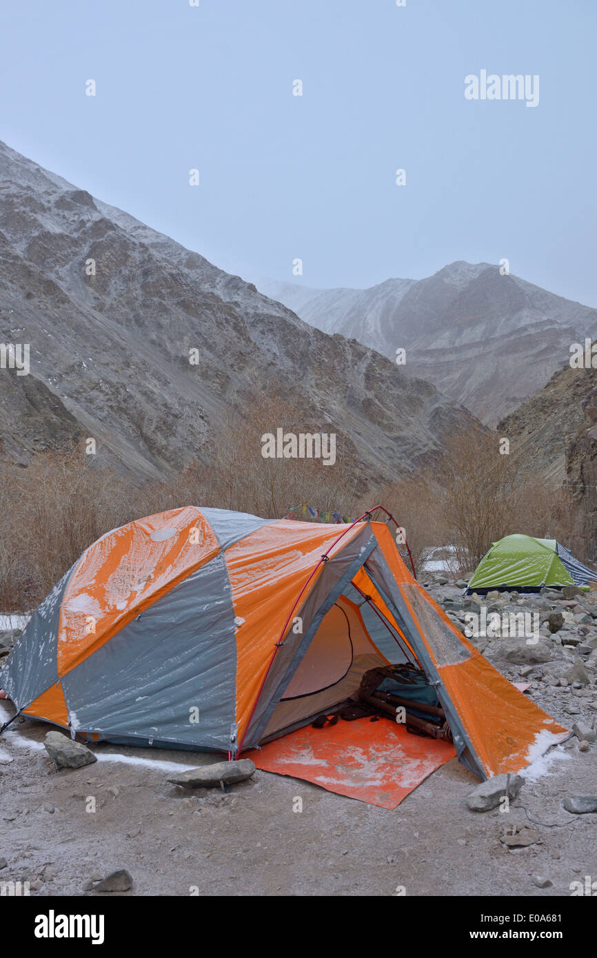 Il trekking d'alta quota camp in Hemis national park, Ladak, India Foto Stock