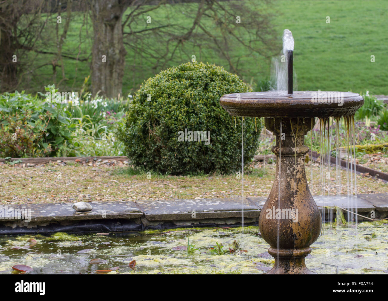 Il Glicine blu e lilla Foto Stock