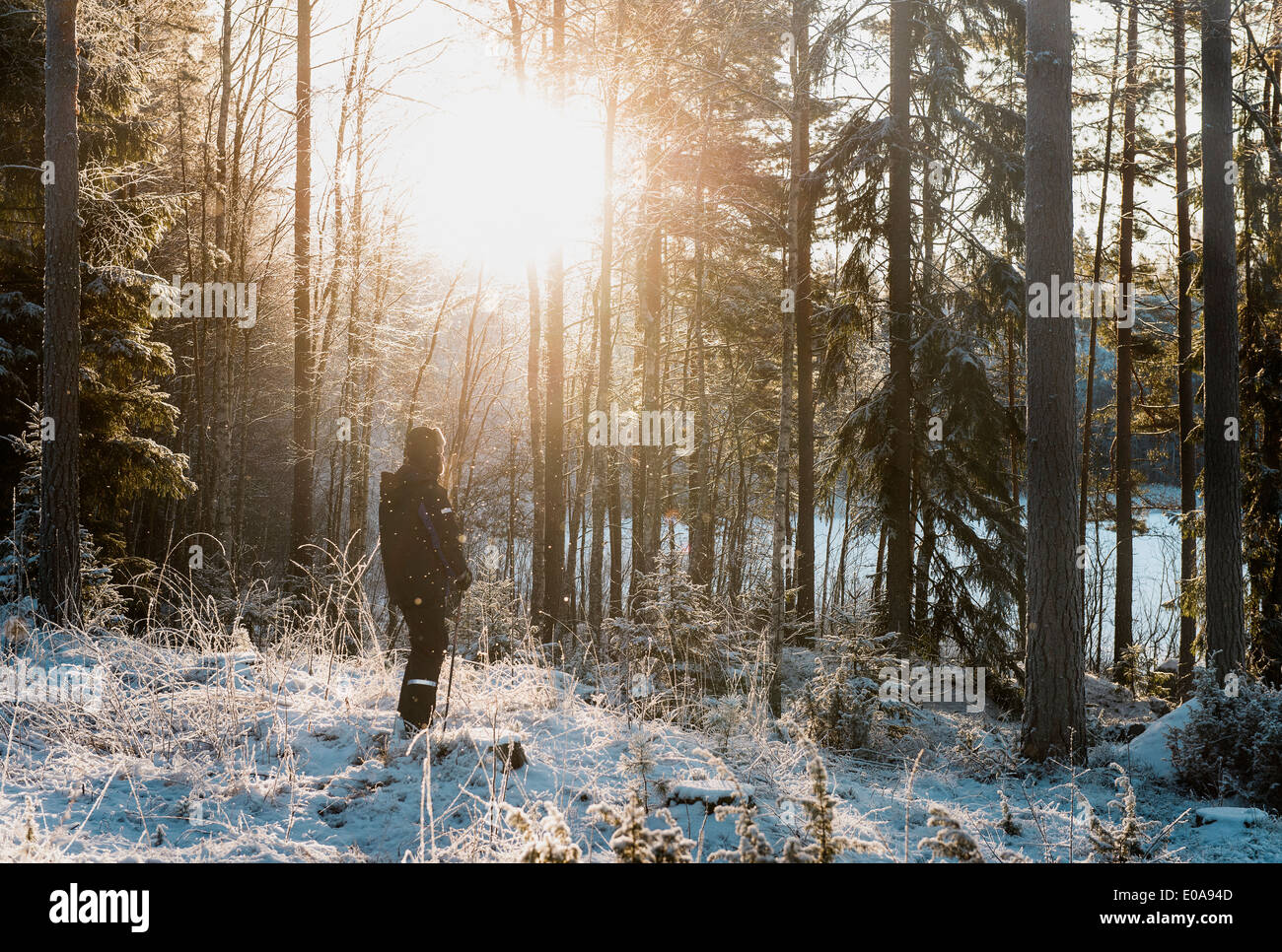 Uomo maturo in piedi in coperta di neve forest Foto Stock