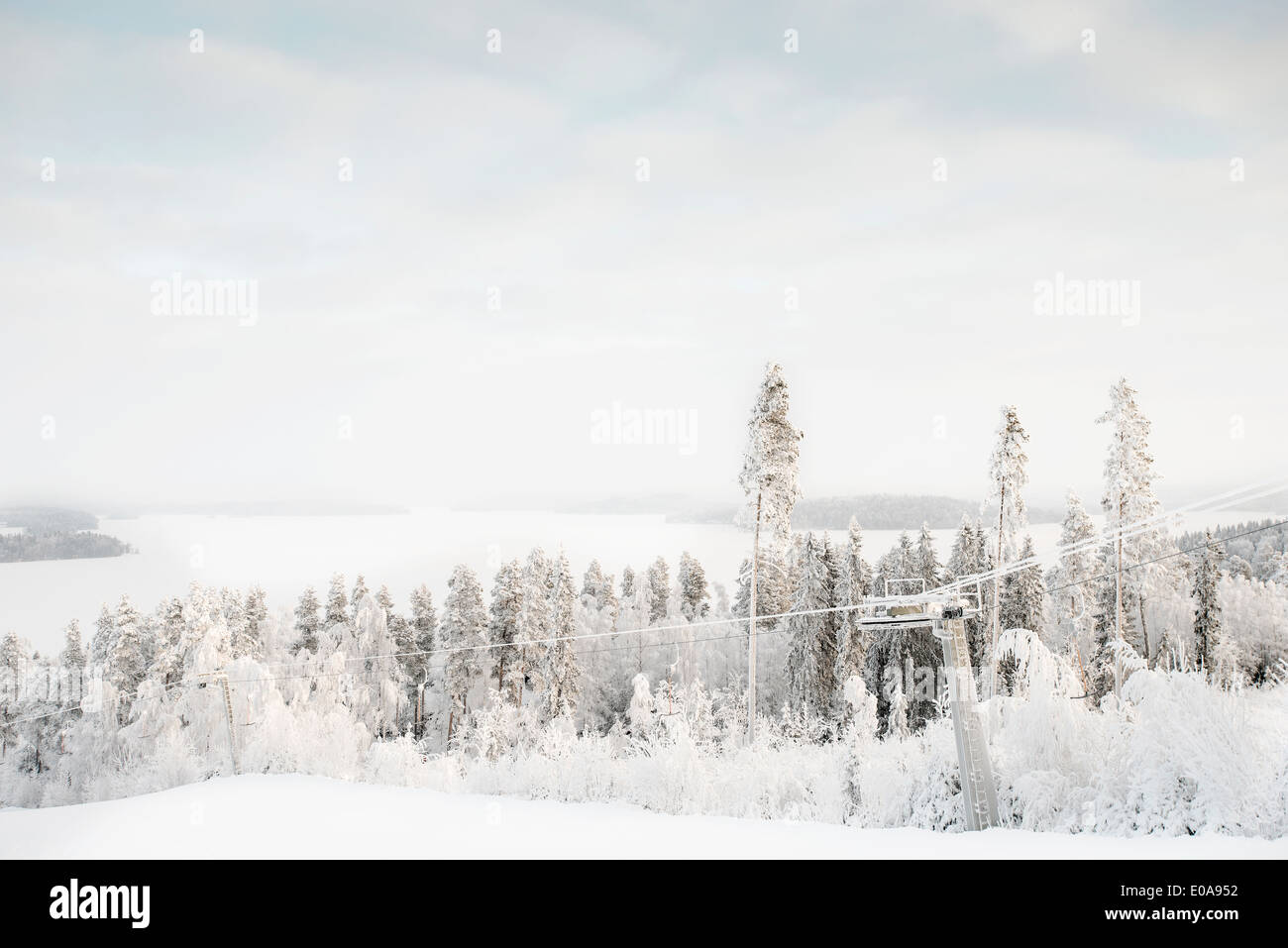 Coperta di neve alberi e ski lift Foto Stock