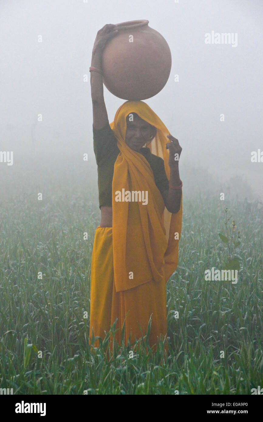 Donna in sari portando acqua su una mattinata nebbiosa in India Foto Stock