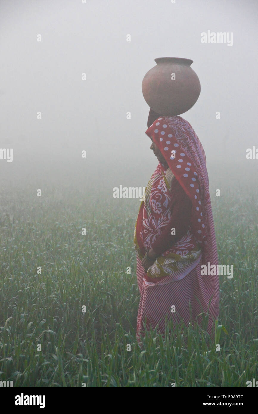 Donna in sari portando acqua su una mattinata nebbiosa in India Foto Stock
