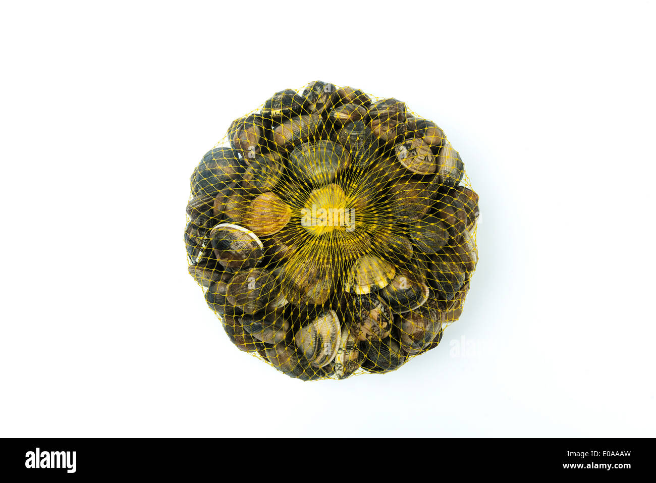 Un sacchetto di vongole Foto Stock