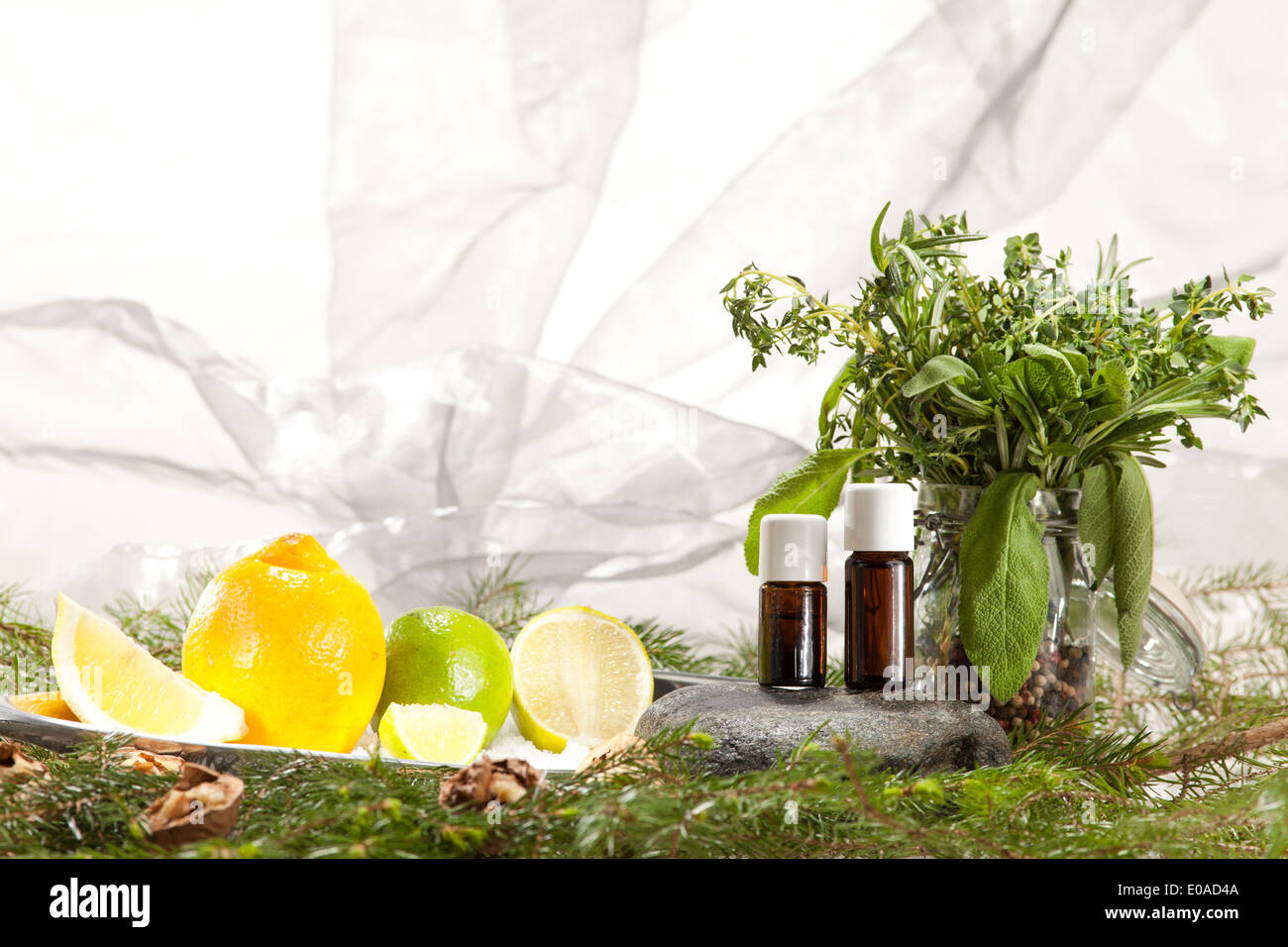 Lime di erbe e di conifere e noci Foto Stock