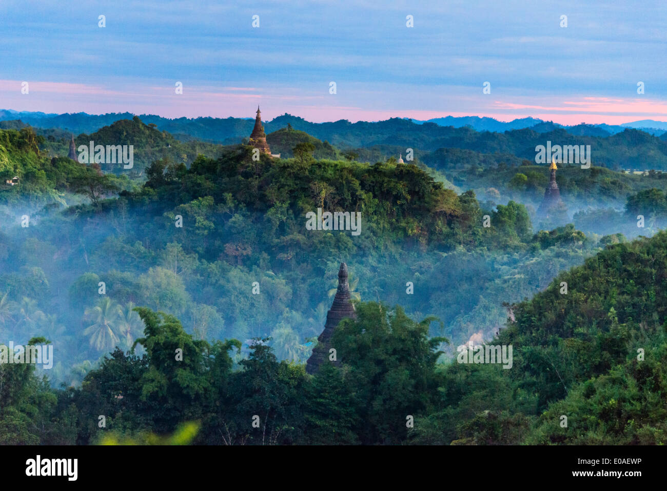 Antichi templi e pagode nella giungla sollevandosi al di sopra di nebbia di mattina, Mrauk-U, Stato di Rakhine, Myanmar Foto Stock