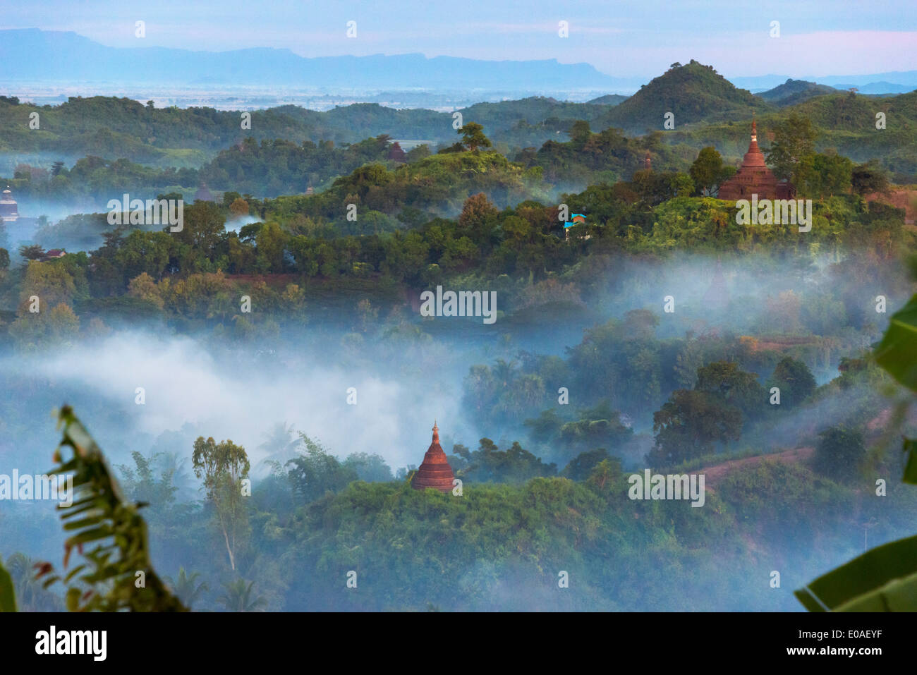 Antichi templi e pagode nella giungla sollevandosi al di sopra di nebbia di mattina, Mrauk-U, Stato di Rakhine, Myanmar Foto Stock