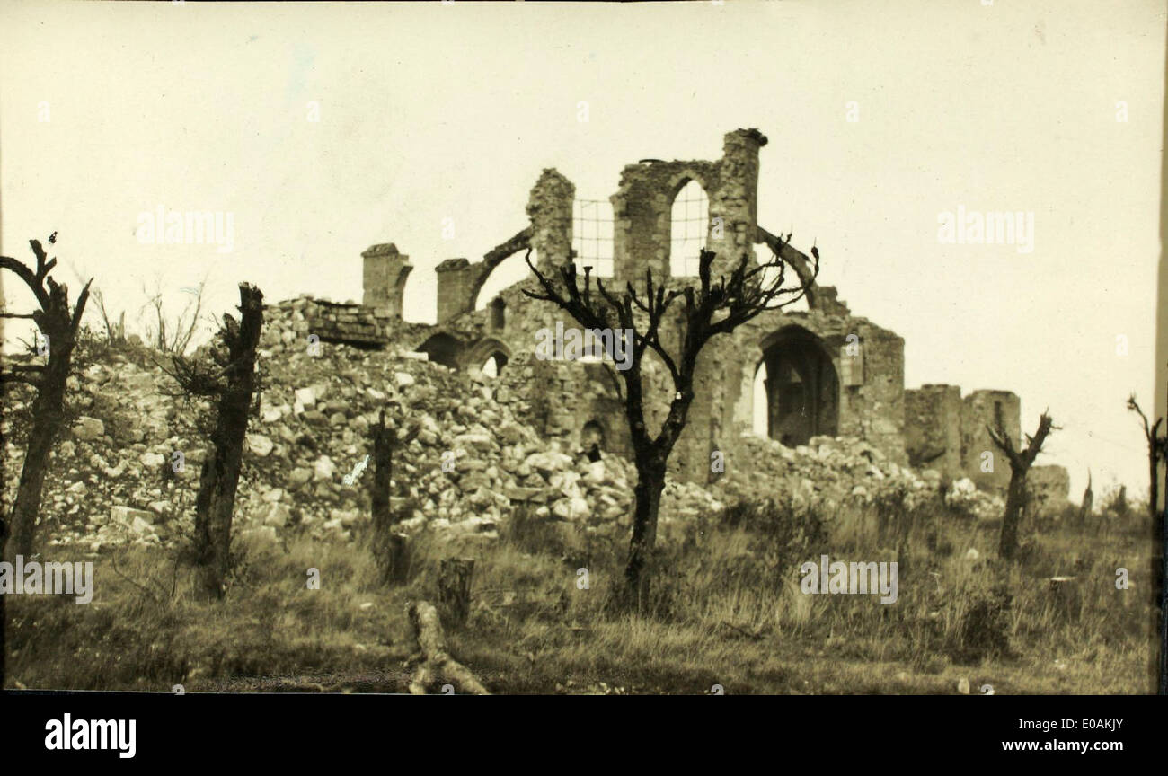 Questa immagine storica mostra John McGrew durante la prima guerra mondiale, contribuendo alle operazioni aeree dell'epoca. Il suo servizio è documentato come parte della ricca storia dell'aviazione militare durante la grande Guerra. Foto Stock