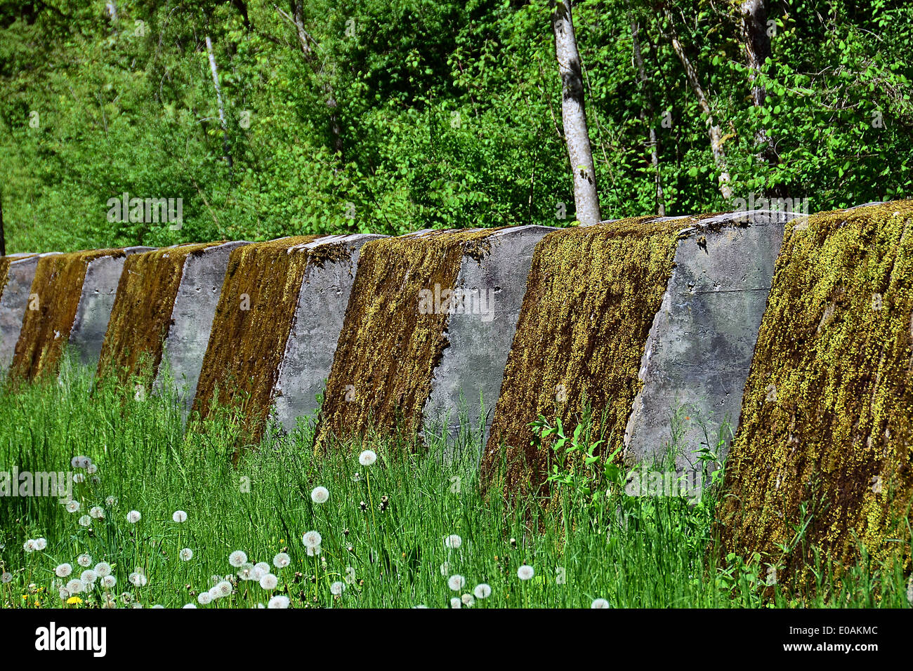 Trappola del serbatoio, Morat Foto Stock