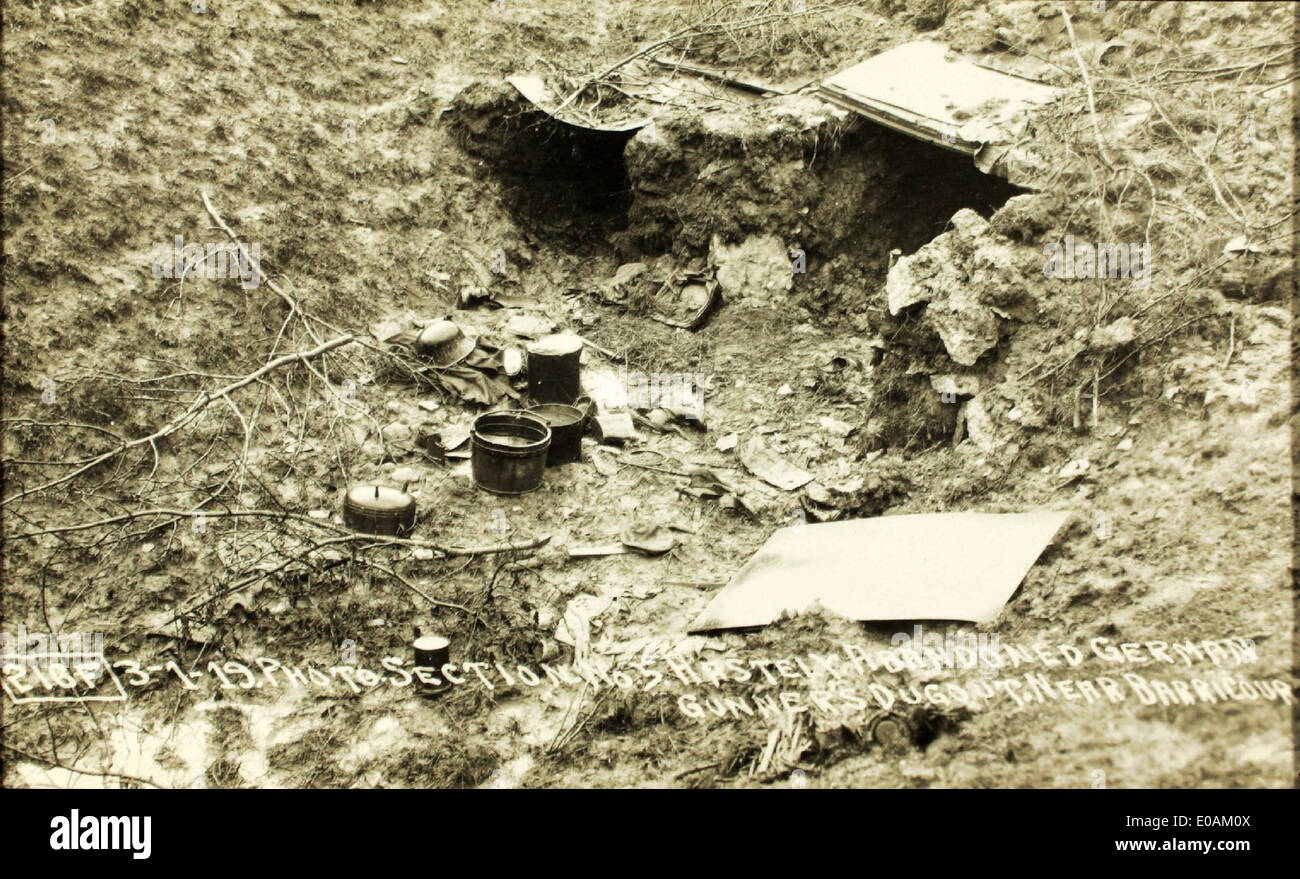 McGrew 0308 è una fotografia dell'era della prima guerra mondiale, che cattura un momento importante nella storia dell'aviazione militare. John McGrew, una figura degna di nota del servizio aereo dell'esercito degli Stati Uniti, è presente in questa immagine come parte degli sforzi rivoluzionari nel combattimento aereo e nella ricognizione durante la guerra. Foto Stock