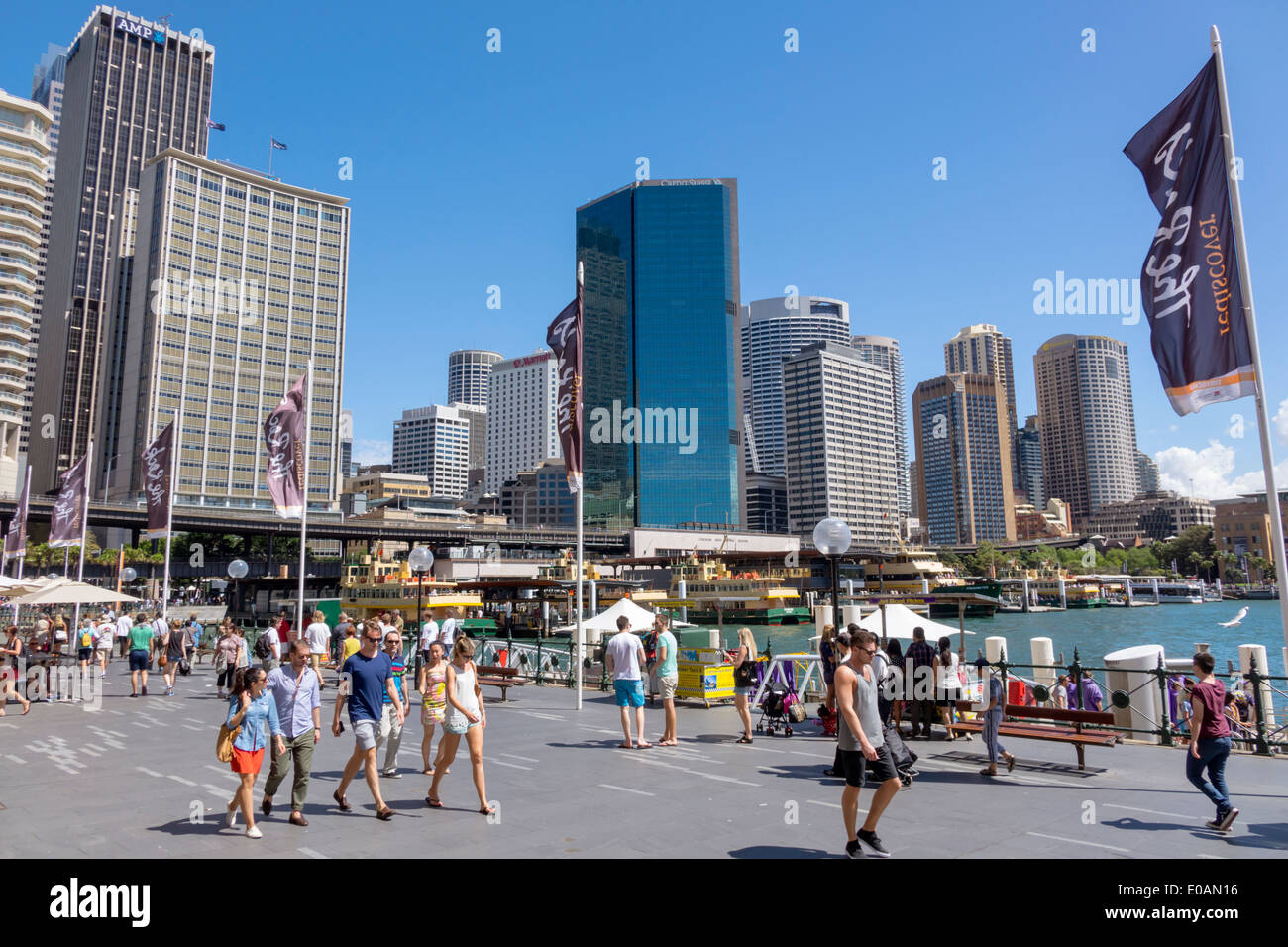 Sydney Australia, skyline della città, grattacieli, Sydney Harbour, porto, East Circular Quay, passeggiata, passeggiate, AU140309032 Foto Stock
